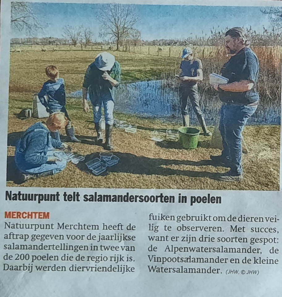 Schermershoek